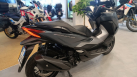 Honda - FORZA 350